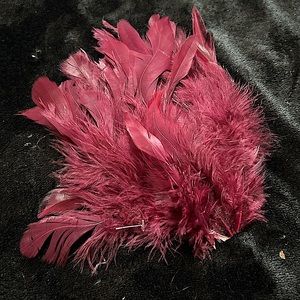 NEW Maroon Dance Costume Feather Hair Piece